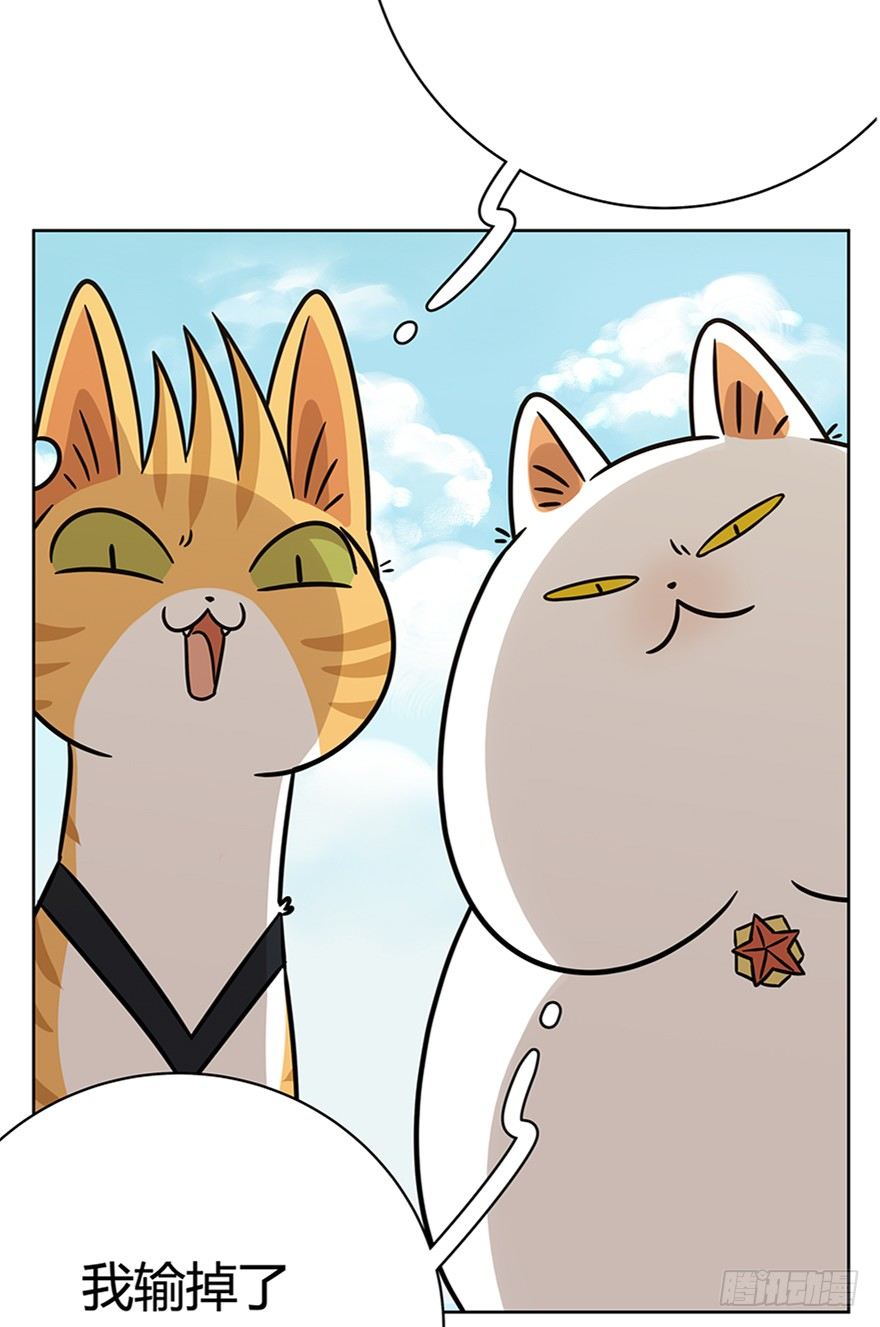 《回到过去变成猫外传》第80爪 “拖油瓶”黑呦呦（上） 第28页