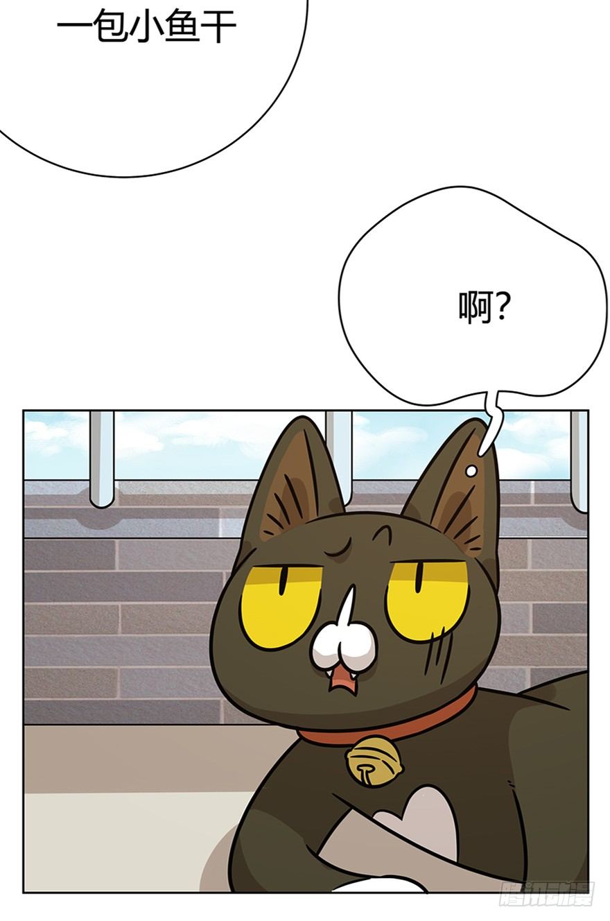 《回到过去变成猫外传》第80爪 “拖油瓶”黑呦呦（上） 第29页