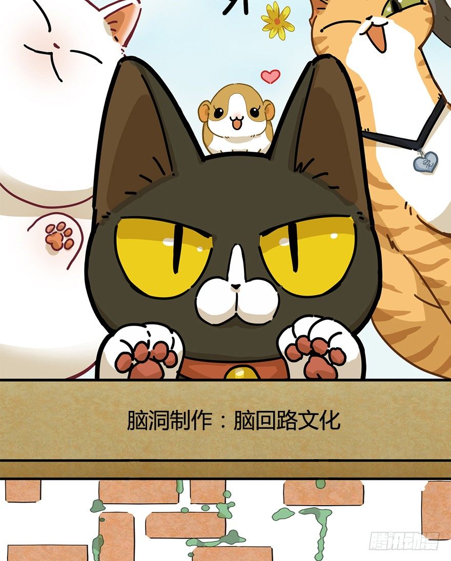 《回到过去变成猫外传》第80爪 “拖油瓶”黑呦呦（上） 第2页