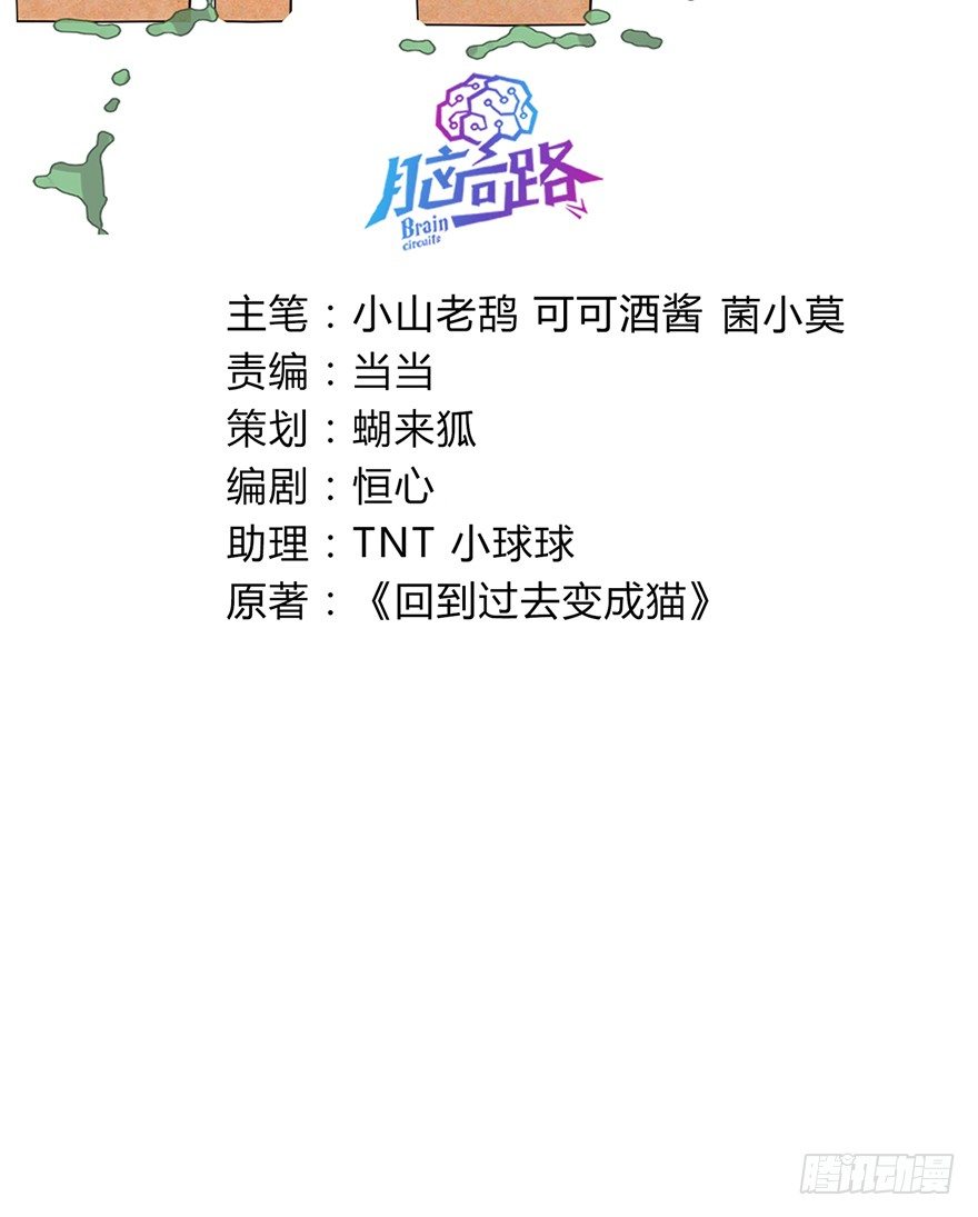 《回到过去变成猫外传》第80爪 “拖油瓶”黑呦呦（上） 第3页