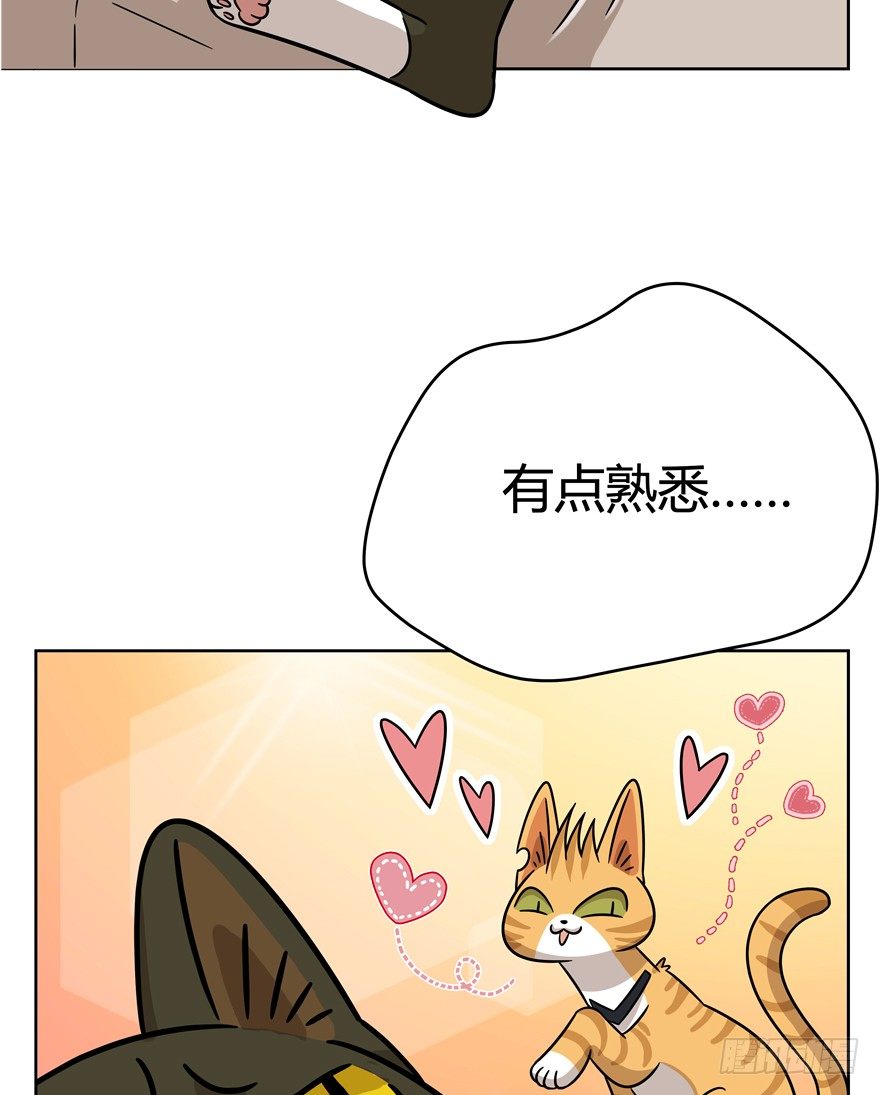 《回到过去变成猫外传》第80爪 “拖油瓶”黑呦呦（上） 第8页