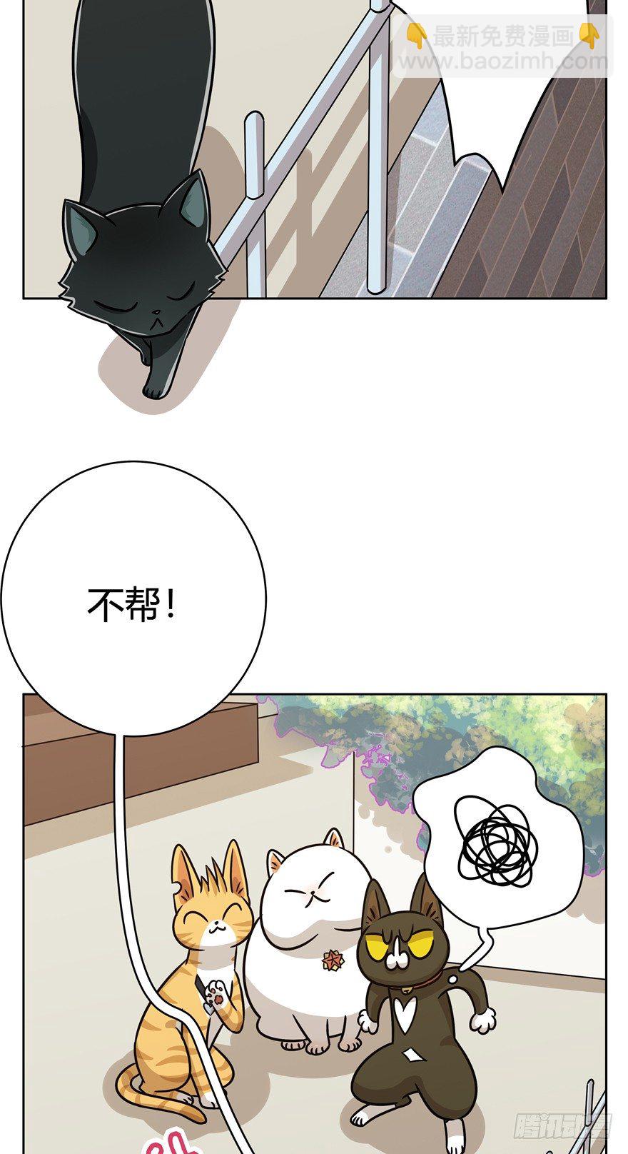 《回到过去变成猫外传》第82爪 黑呦呦的“诡计” 第13页