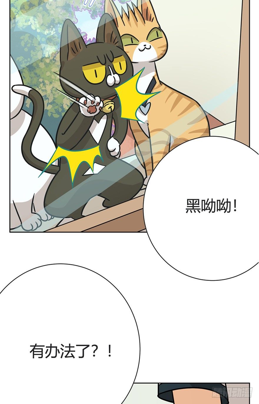 《回到过去变成猫外传》第82爪 黑呦呦的“诡计” 第21页