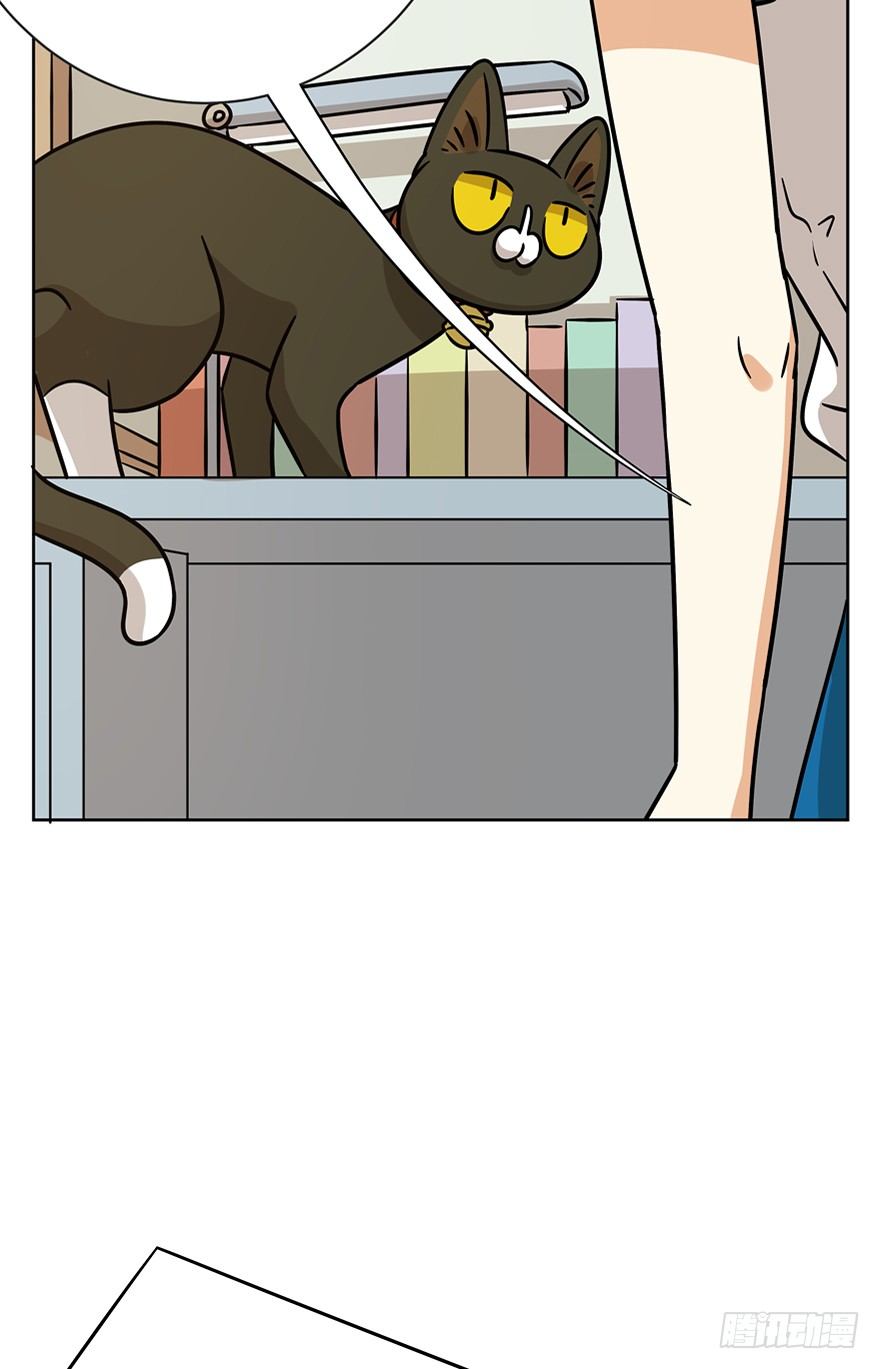 《回到过去变成猫外传》第82爪 黑呦呦的“诡计” 第22页