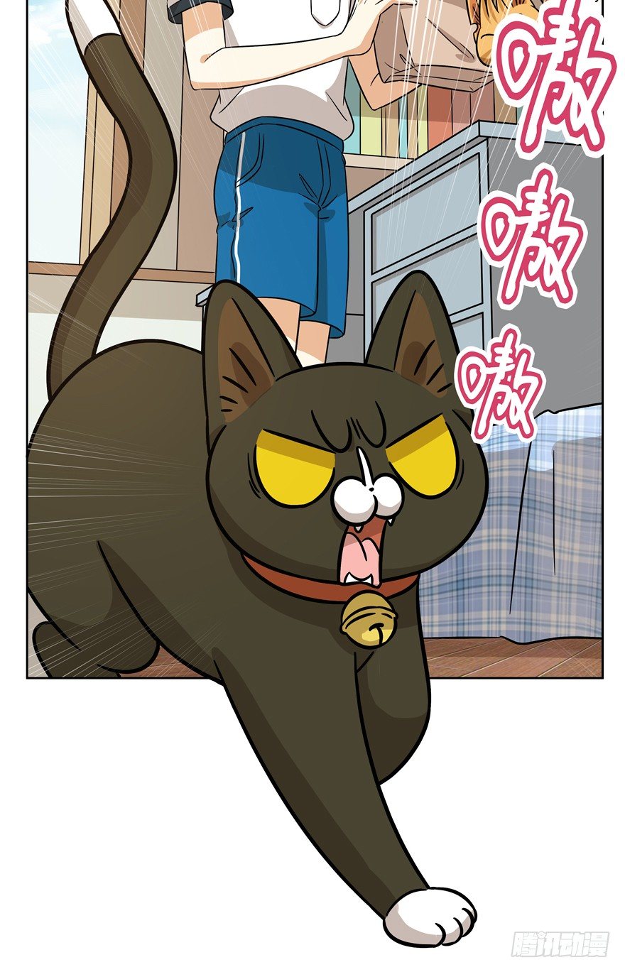 《回到过去变成猫外传》第82爪 黑呦呦的“诡计” 第29页