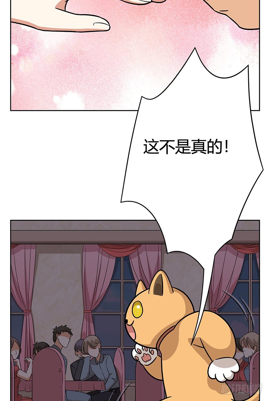 《回到过去变成猫外传》第79爪 物是人非 第10页