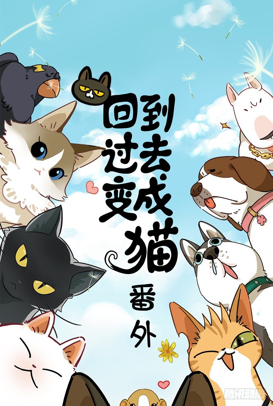 《回到过去变成猫外传》第79爪 物是人非 第1页