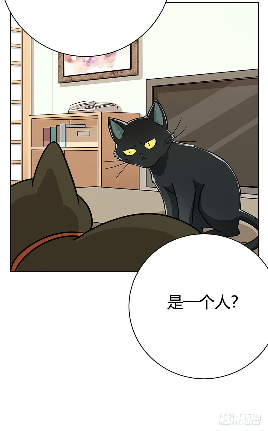 《回到过去变成猫外传》第79爪 物是人非 第29页