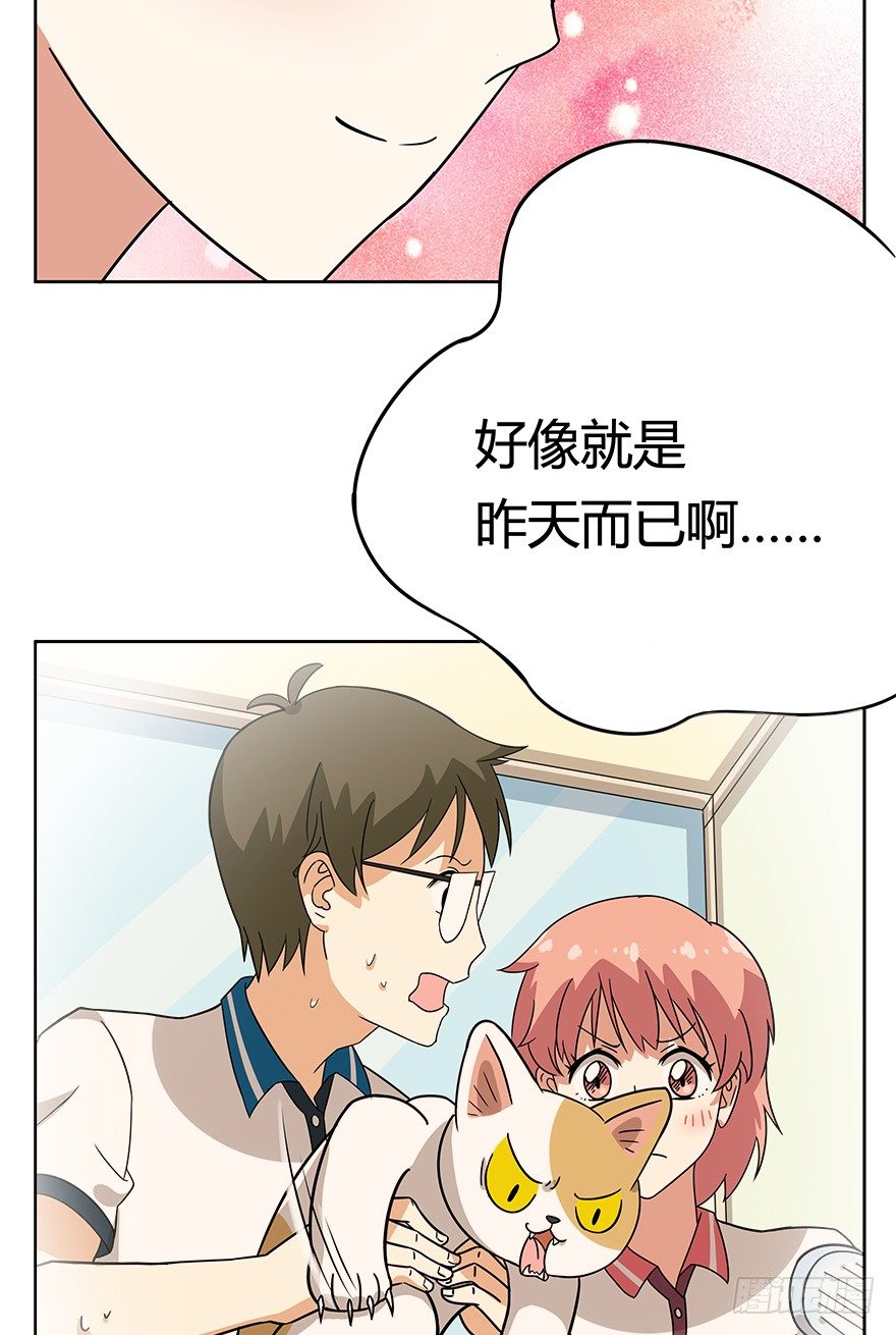 《回到过去变成猫外传》第79爪 物是人非 第8页