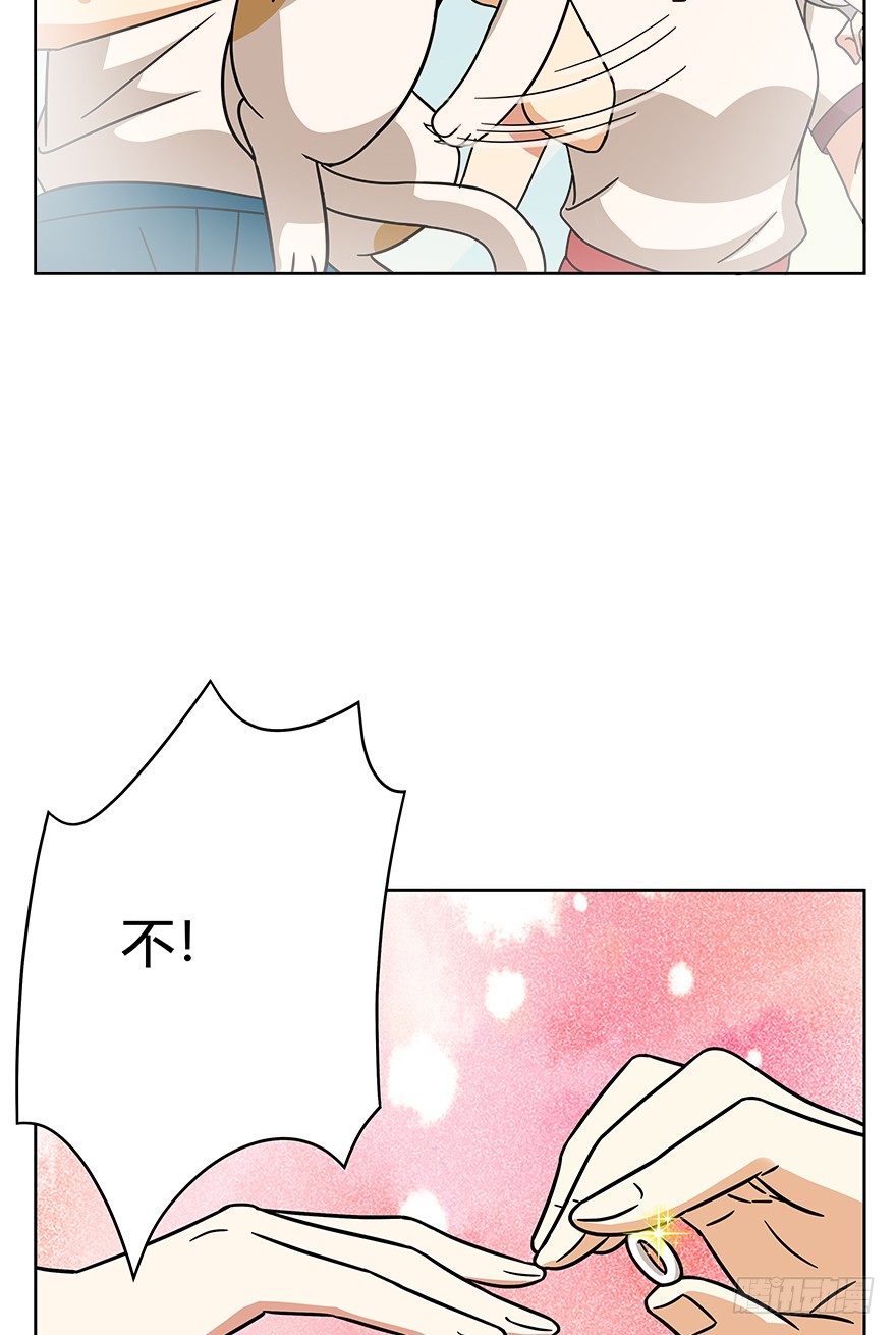 《回到过去变成猫外传》第79爪 物是人非 第9页