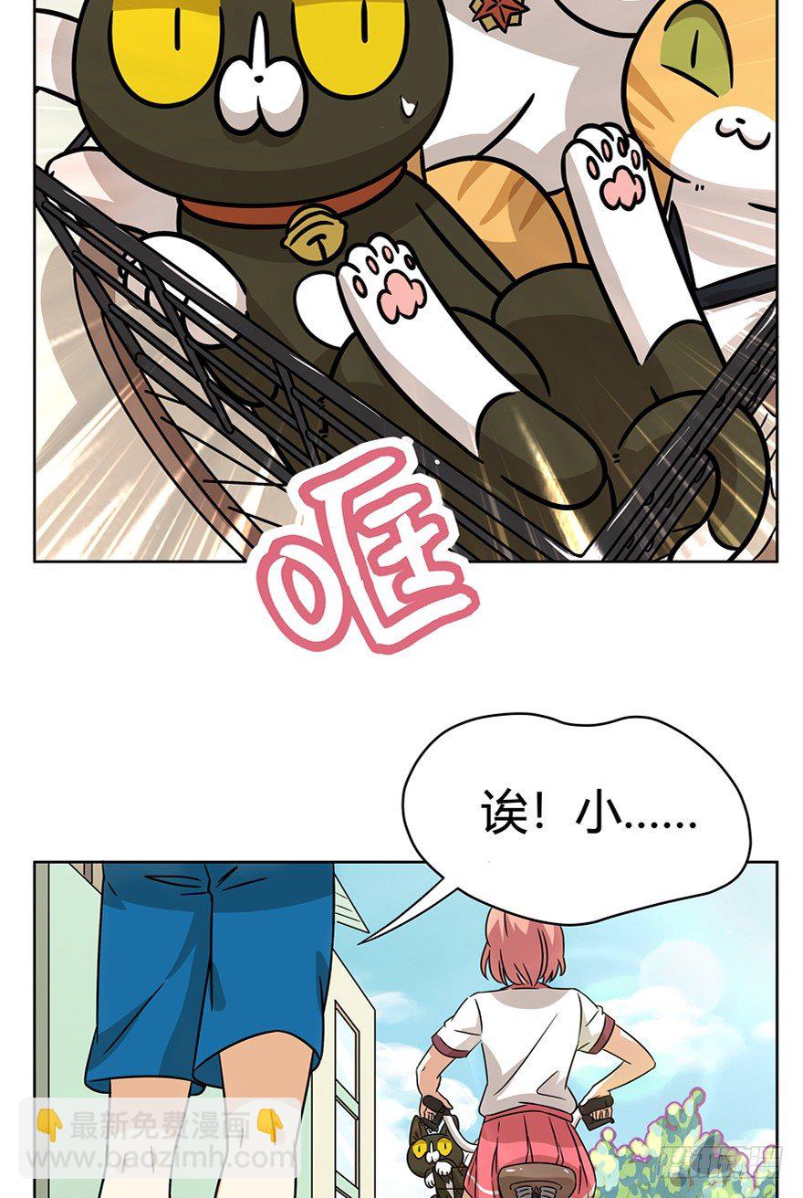 《回到过去变成猫外传》第85爪 黑呦呦出马（下） 第11页