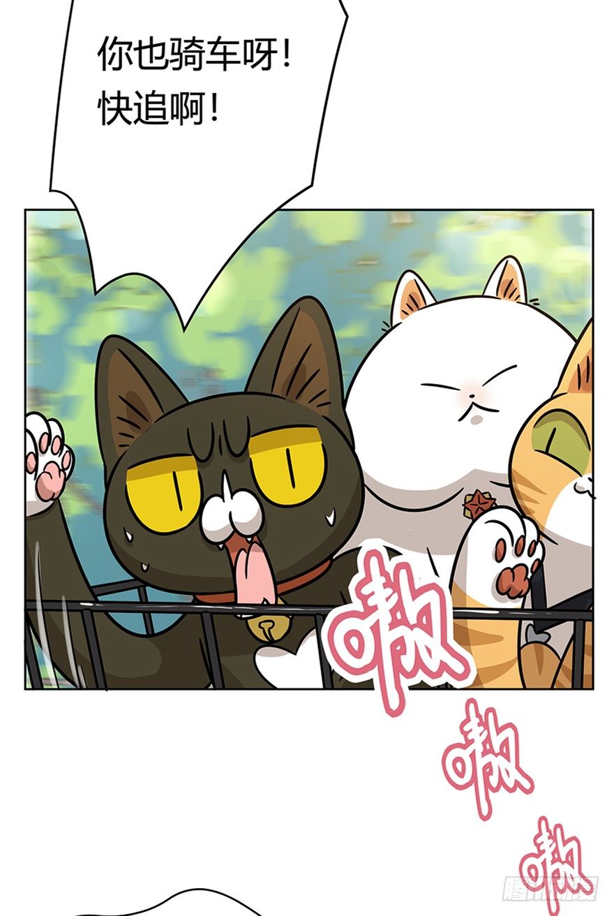 《回到过去变成猫外传》第85爪 黑呦呦出马（下） 第13页