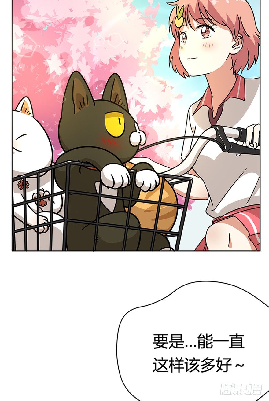 《回到过去变成猫外传》第85爪 黑呦呦出马（下） 第19页