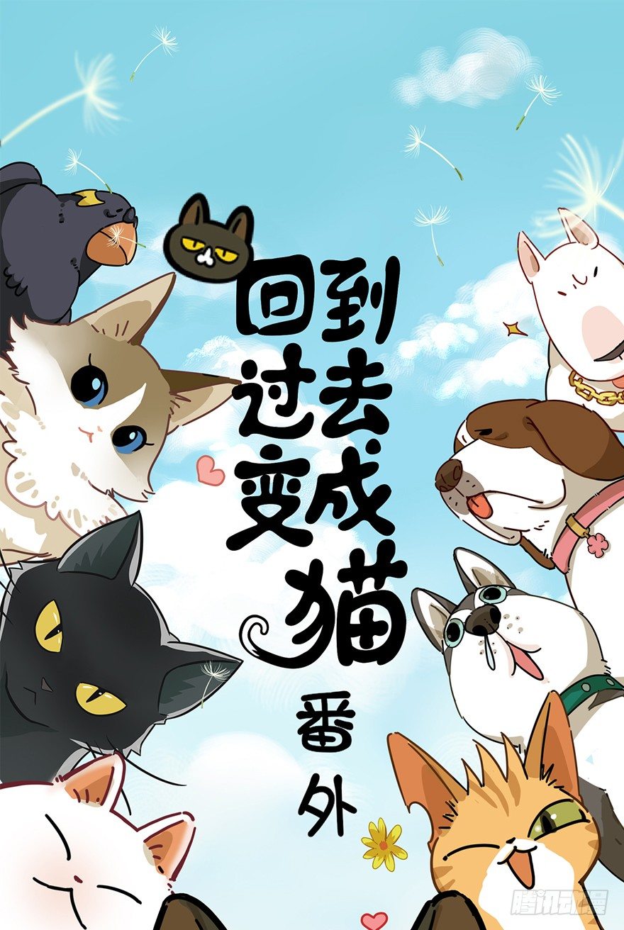 《回到过去变成猫外传》第85爪 黑呦呦出马（下） 第1页