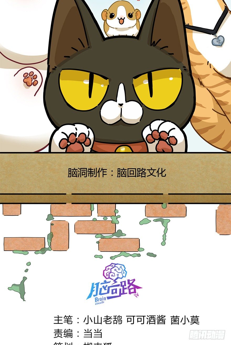 《回到过去变成猫外传》第85爪 黑呦呦出马（下） 第2页