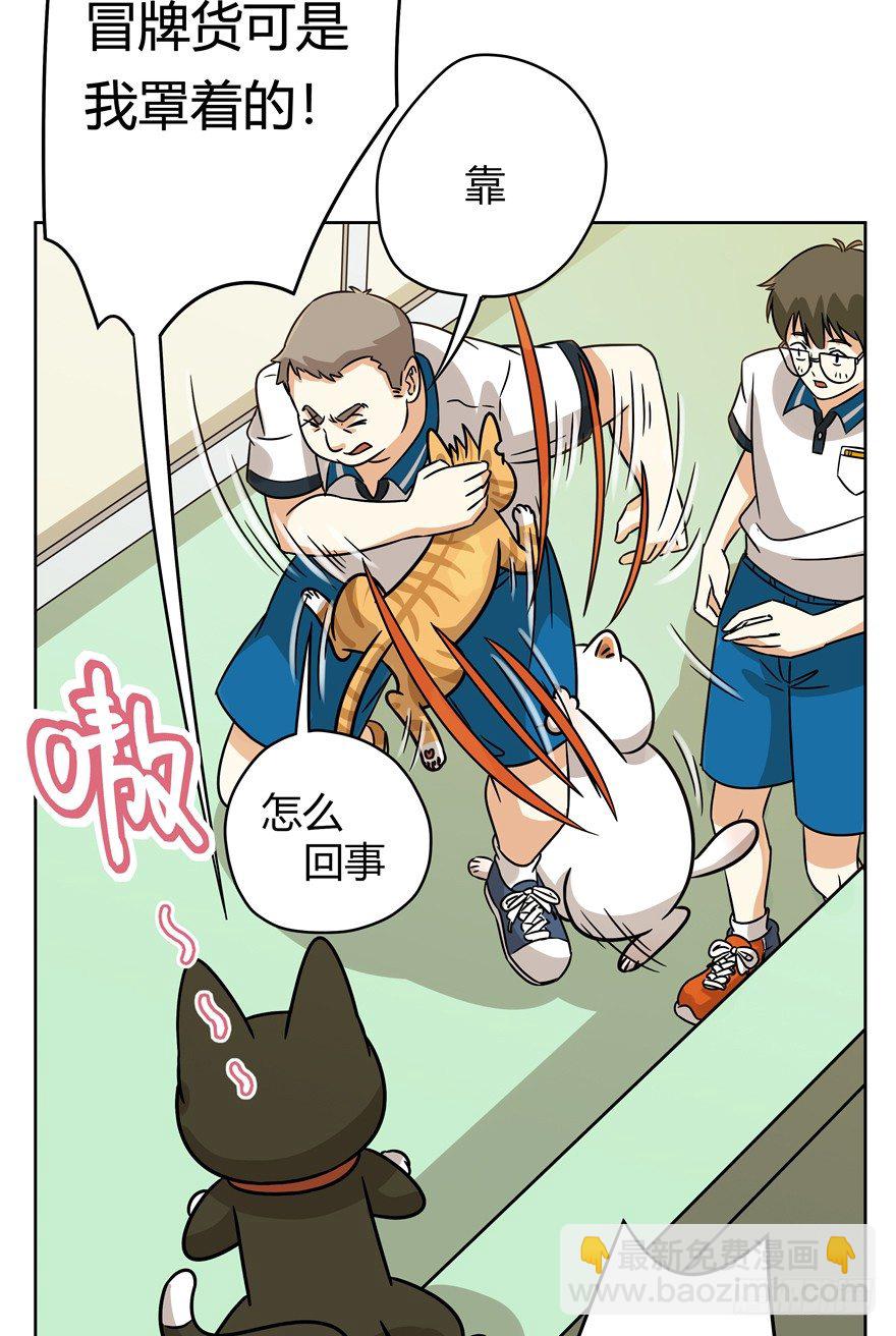 《回到过去变成猫外传》第85爪 黑呦呦出马（下） 第4页