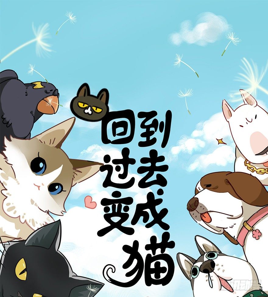 《回到过去变成猫外传》第86爪 讲义气的“冒牌货”（上 第1页