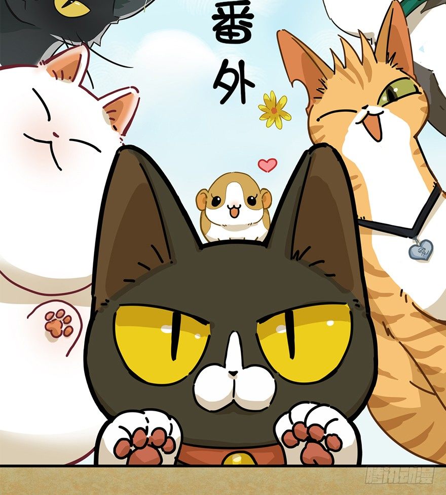 《回到过去变成猫外传》第86爪 讲义气的“冒牌货”（上 第2页