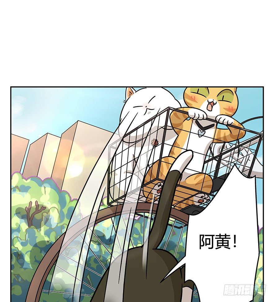 《回到过去变成猫外传》第86爪 讲义气的“冒牌货”（上 第8页