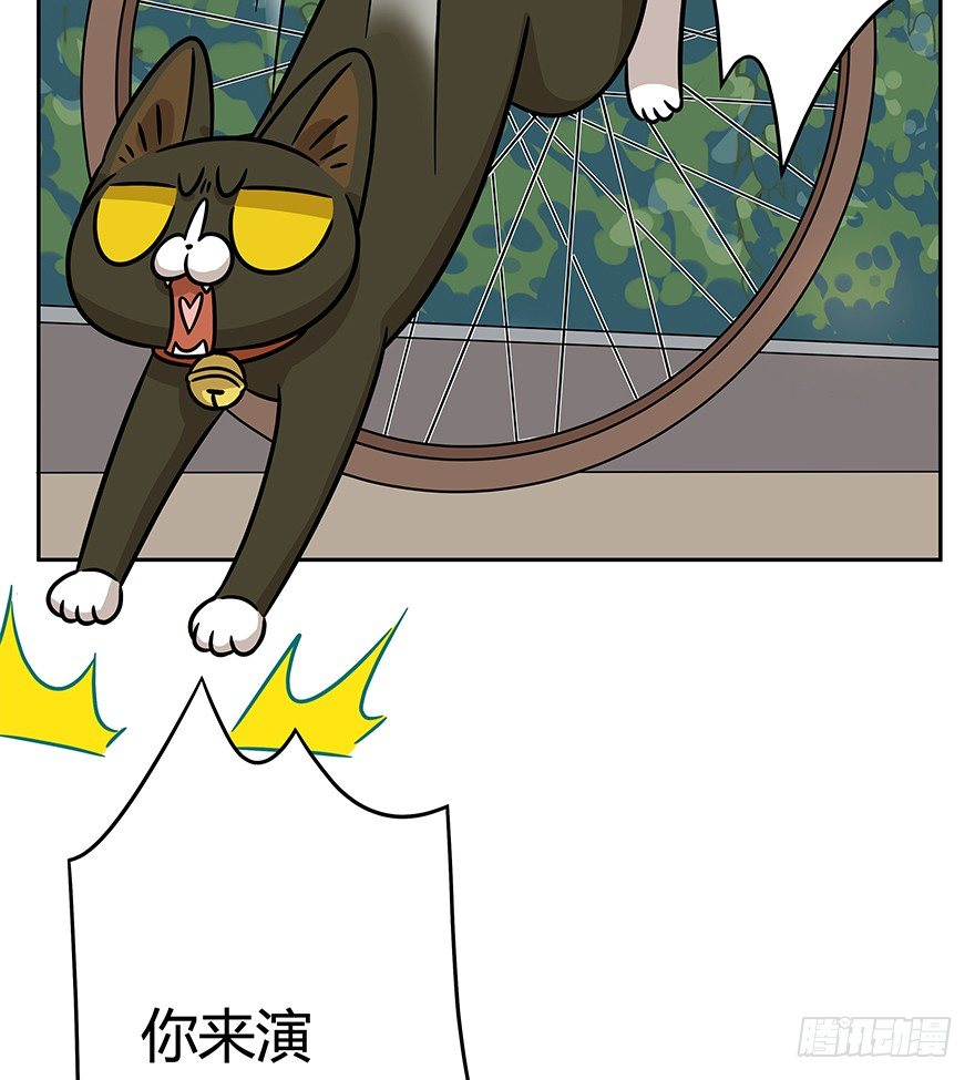 《回到过去变成猫外传》第86爪 讲义气的“冒牌货”（上 第9页