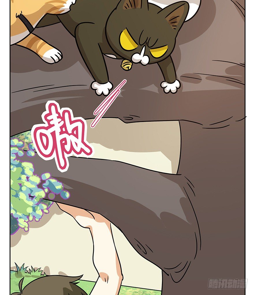 《回到过去变成猫外传》第83爪 “复合大师”黑呦呦 第12页