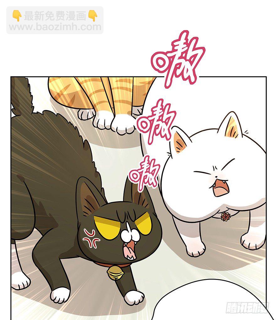 《回到过去变成猫外传》第83爪 “复合大师”黑呦呦 第21页