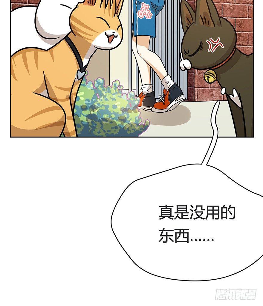 《回到过去变成猫外传》第83爪 “复合大师”黑呦呦 第23页