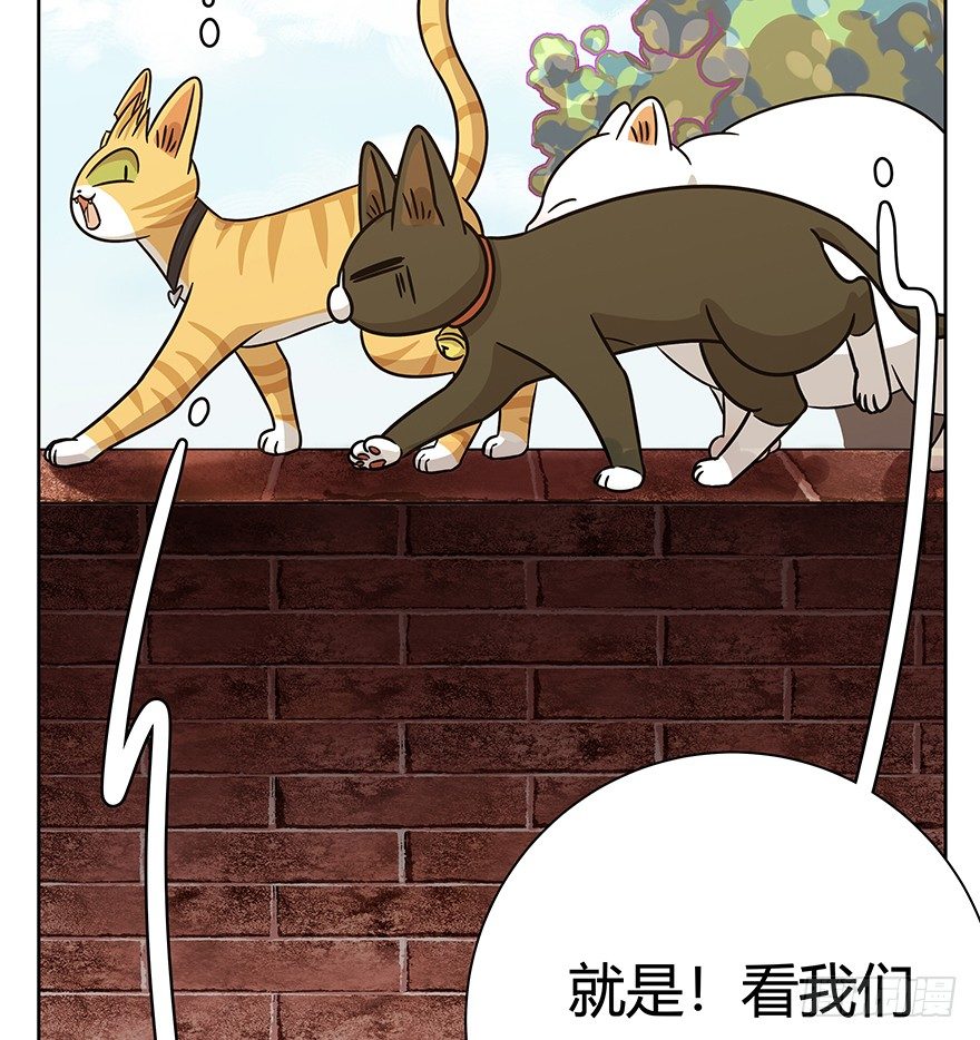 《回到过去变成猫外传》第83爪 “复合大师”黑呦呦 第25页