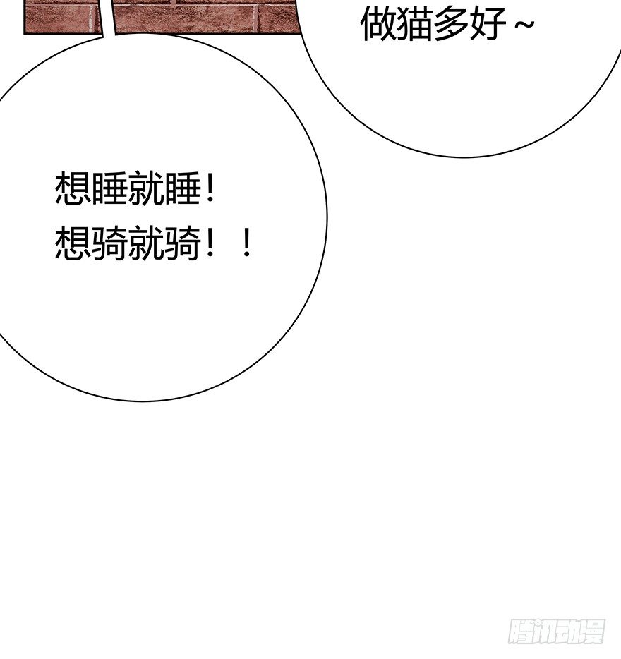 《回到过去变成猫外传》第83爪 “复合大师”黑呦呦 第26页