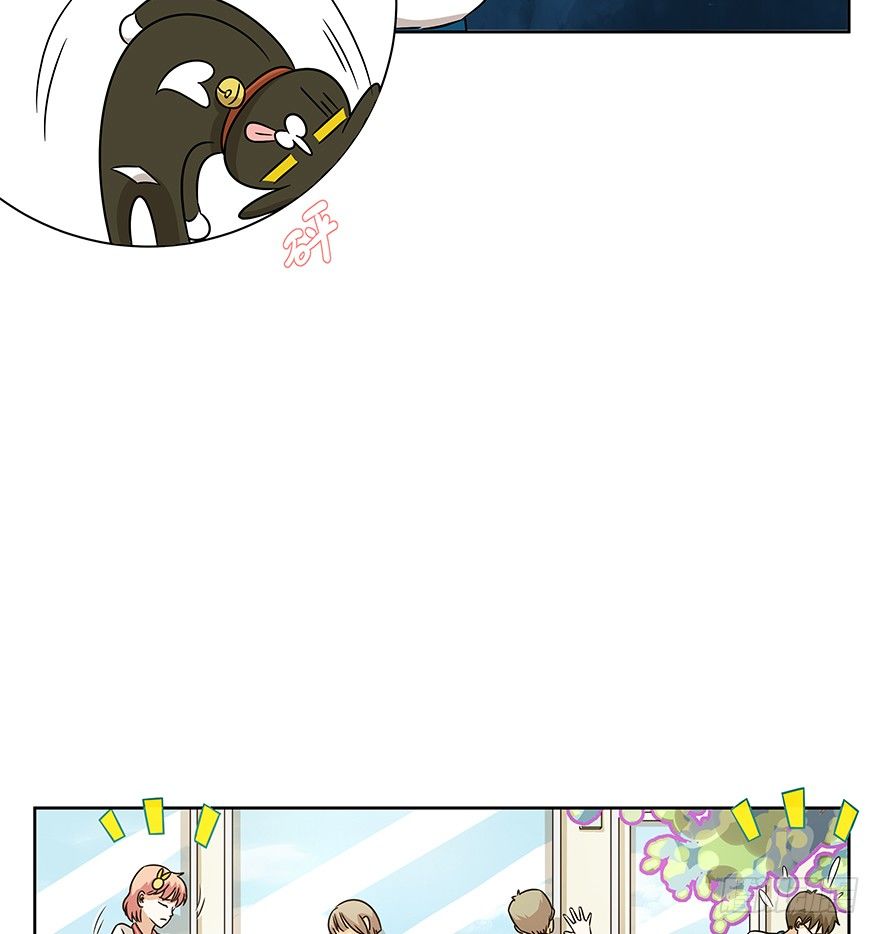 《回到过去变成猫外传》第83爪 “复合大师”黑呦呦 第39页