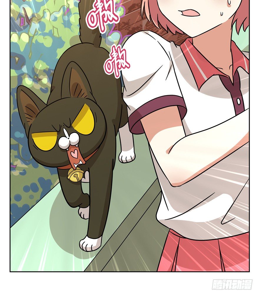 《回到过去变成猫外传》第84爪 黑呦呦出马（上） 第22页