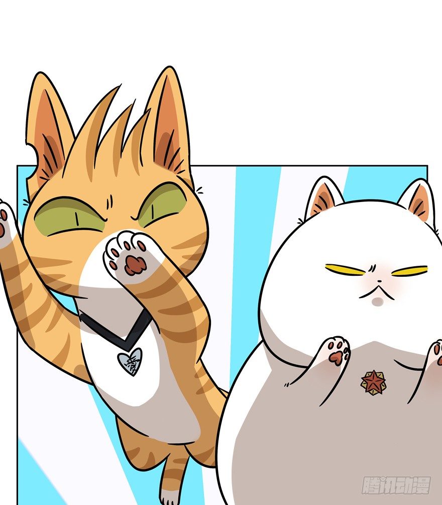 《回到过去变成猫外传》第84爪 黑呦呦出马（上） 第27页