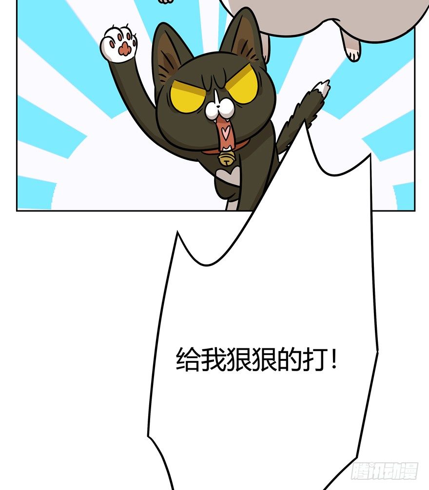 《回到过去变成猫外传》第84爪 黑呦呦出马（上） 第28页