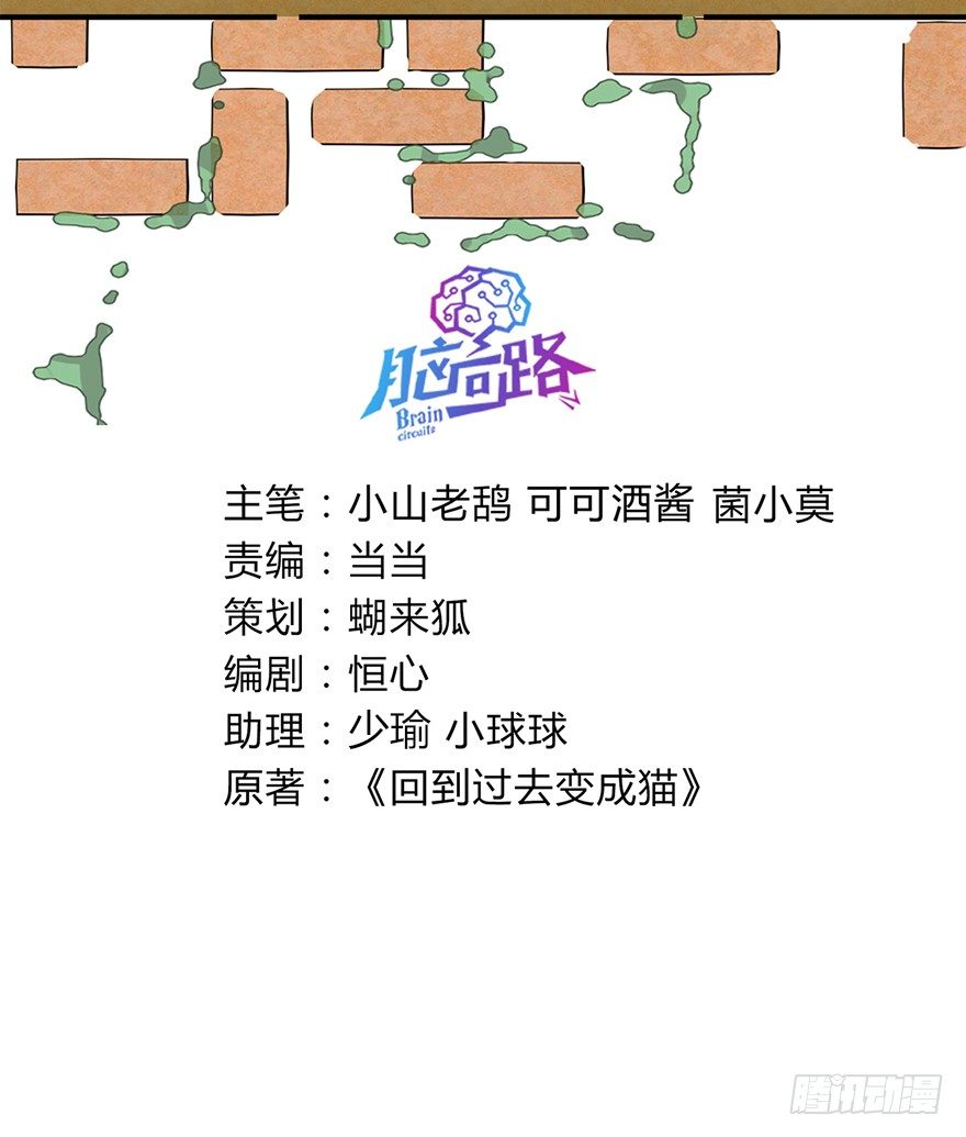 《回到过去变成猫外传》第84爪 黑呦呦出马（上） 第3页