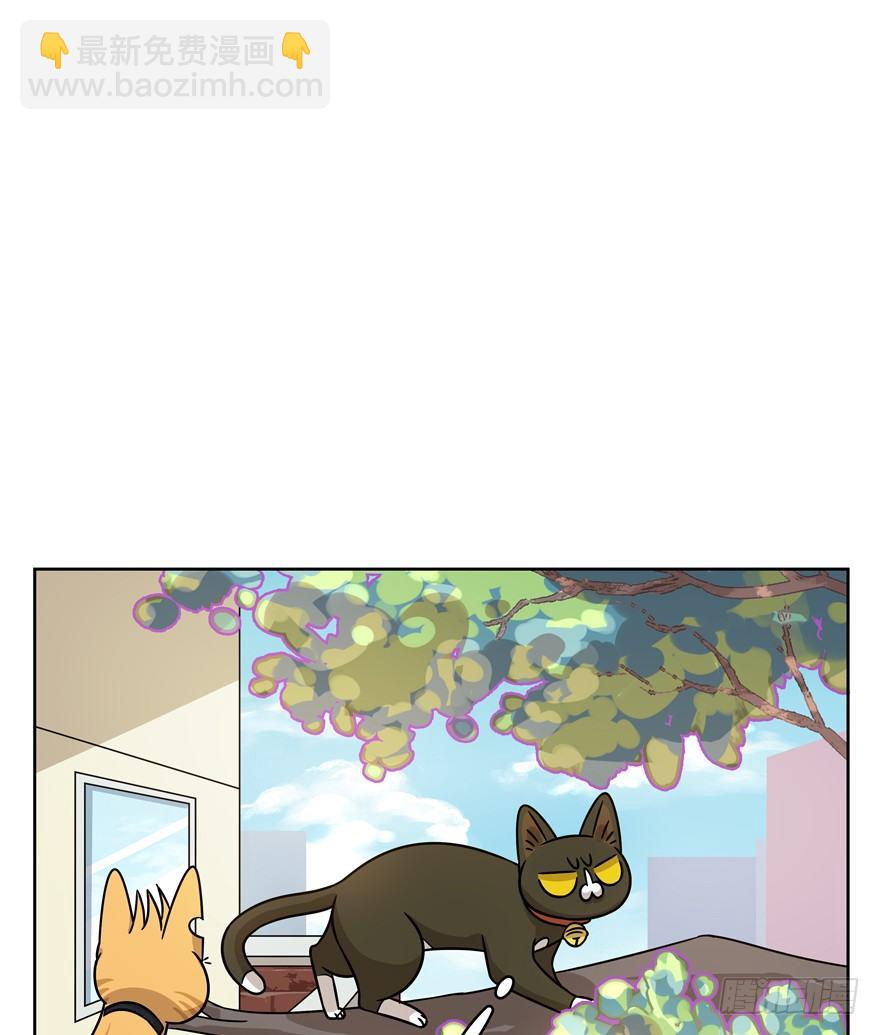 《回到过去变成猫外传》第84爪 黑呦呦出马（上） 第4页