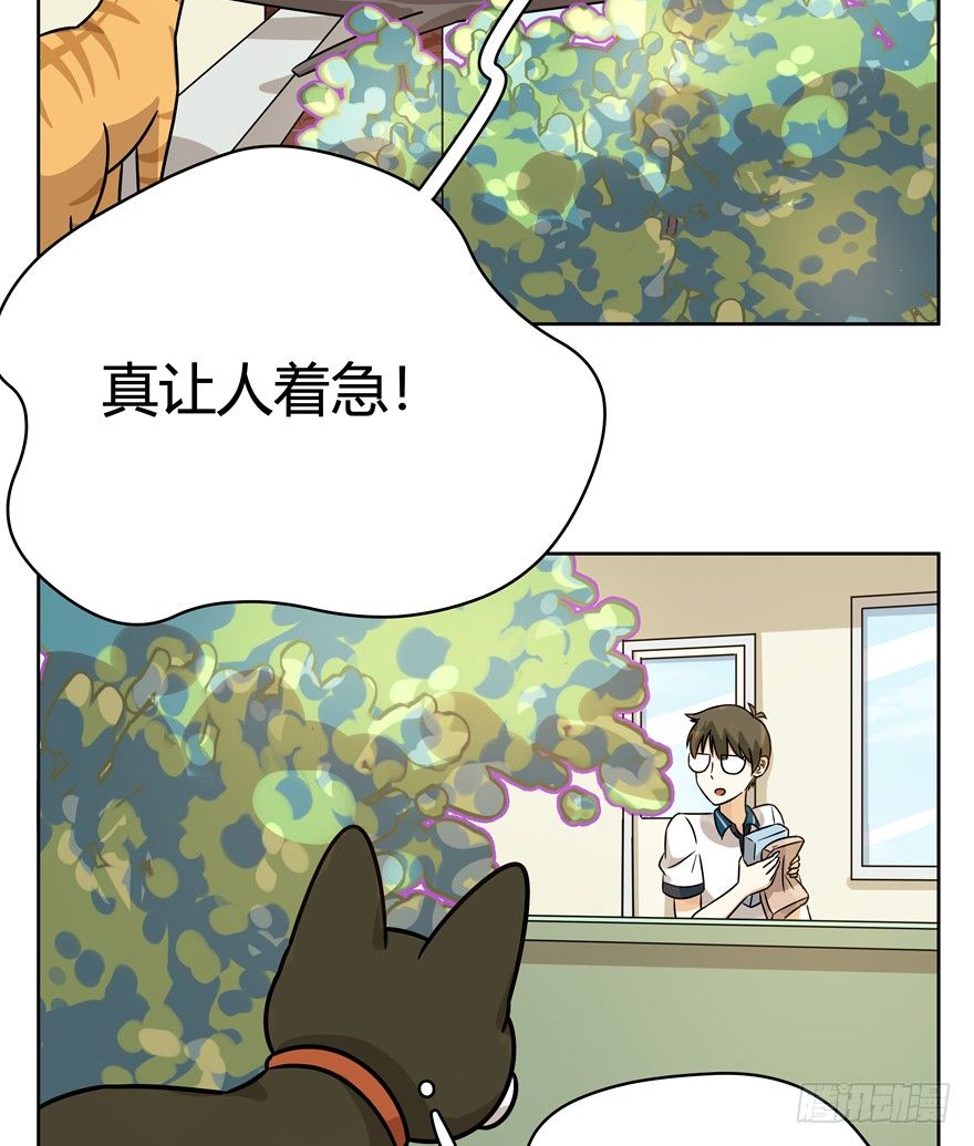 《回到过去变成猫外传》第84爪 黑呦呦出马（上） 第5页