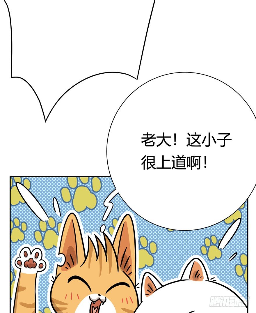 《回到过去变成猫外传》第88爪 祸水东引（上） 第15页