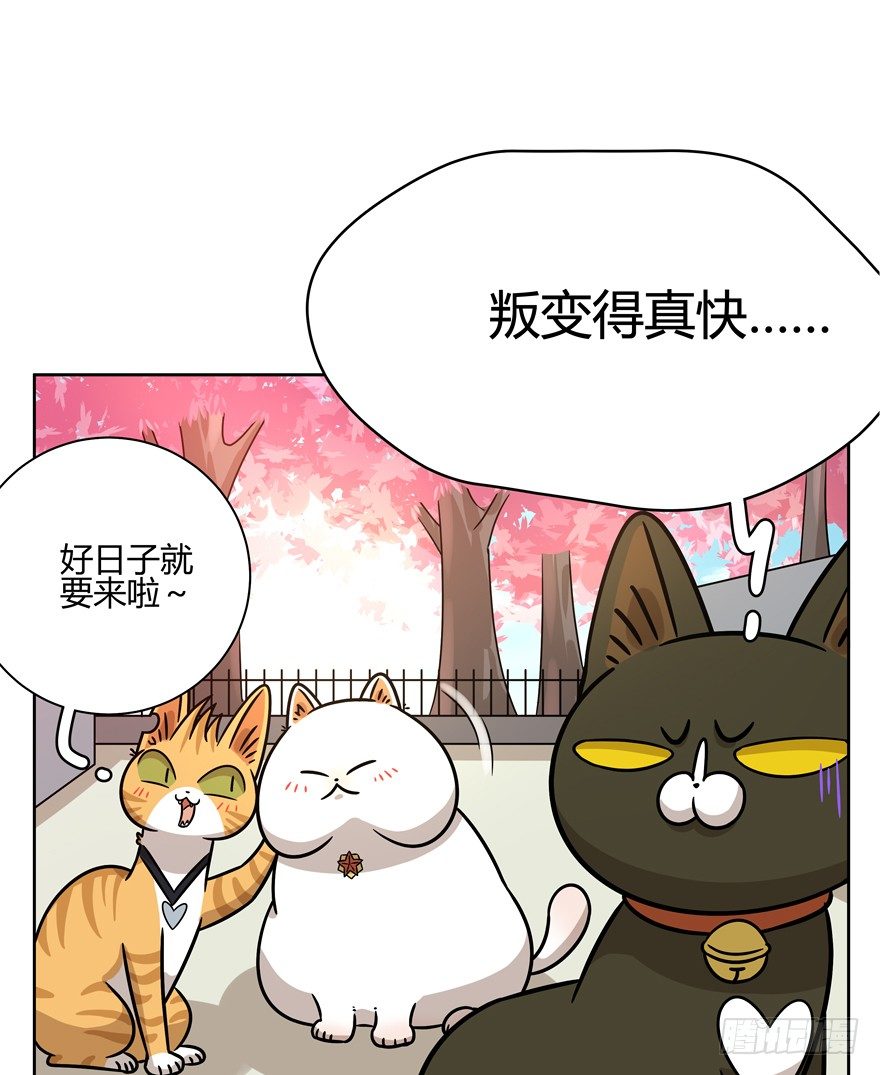 《回到过去变成猫外传》第88爪 祸水东引（上） 第17页