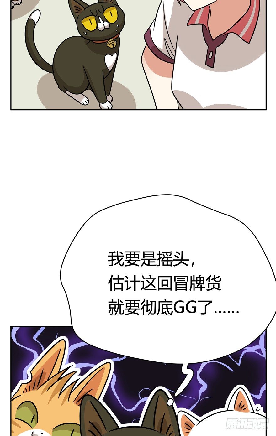 《回到过去变成猫外传》第88爪 祸水东引（上） 第6页