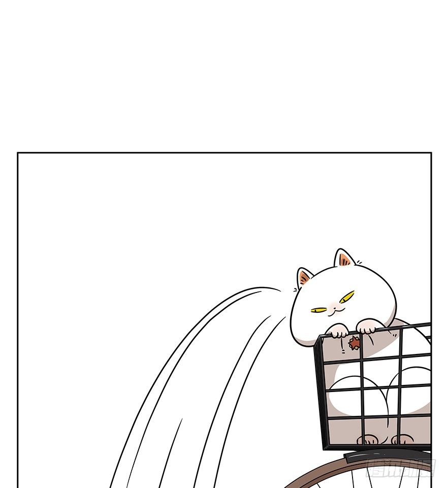 《回到过去变成猫外传》第87爪 讲义气的“冒牌货”（下 第10页
