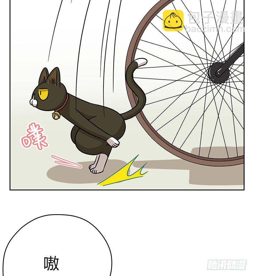 《回到过去变成猫外传》第87爪 讲义气的“冒牌货”（下 第11页