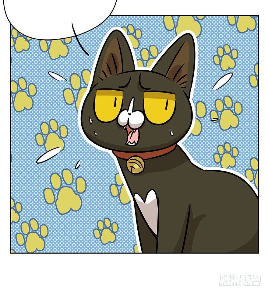 《回到过去变成猫外传》第87爪 讲义气的“冒牌货”（下 第12页