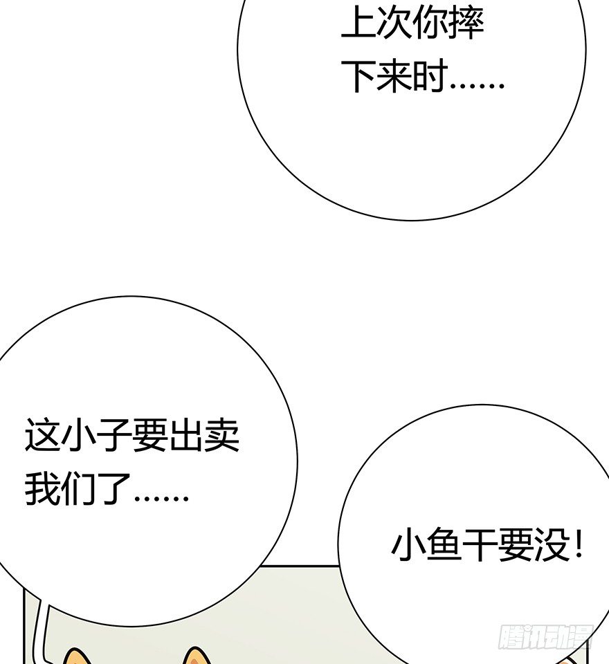 《回到过去变成猫外传》第87爪 讲义气的“冒牌货”（下 第15页