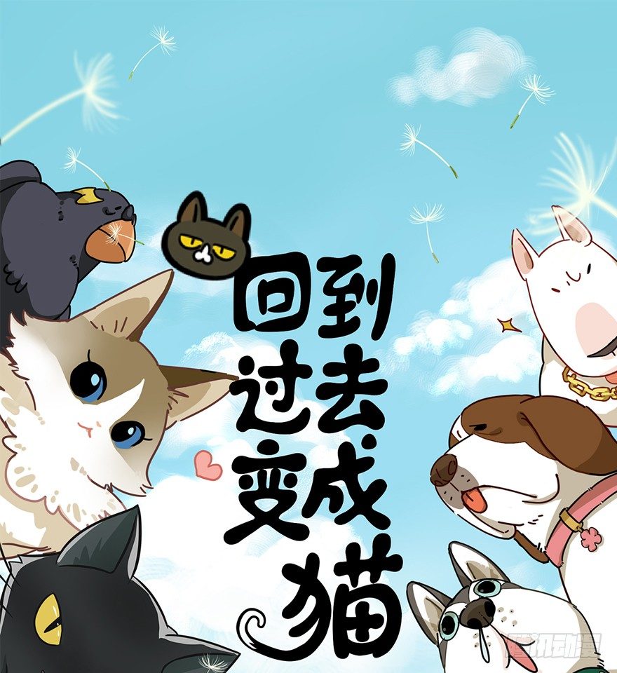 《回到过去变成猫外传》第87爪 讲义气的“冒牌货”（下 第1页