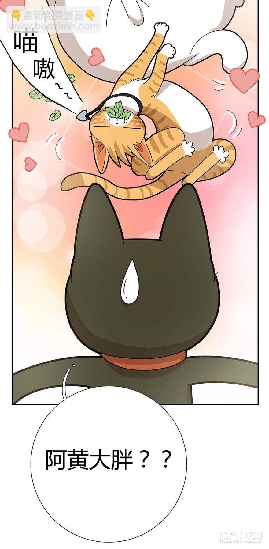 《回到过去变成猫外传》第87爪 讲义气的“冒牌货”（下 第20页