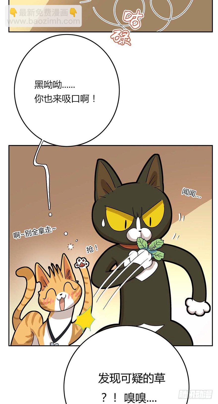 《回到过去变成猫外传》第87爪 讲义气的“冒牌货”（下 第22页