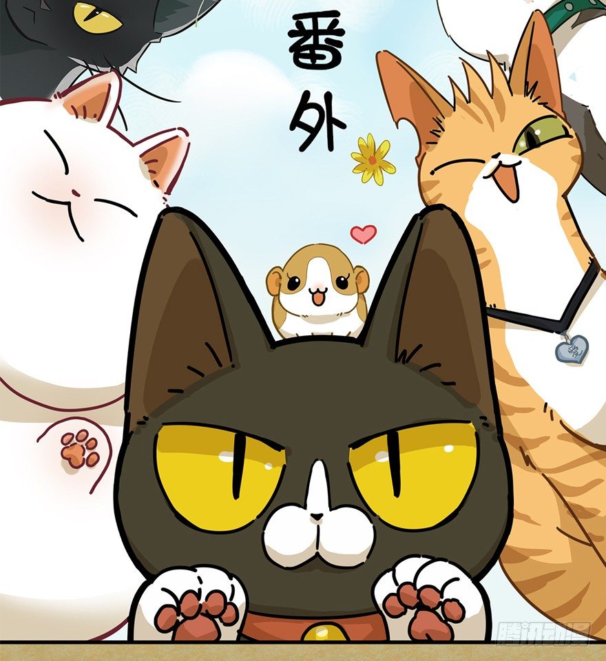 《回到过去变成猫外传》第87爪 讲义气的“冒牌货”（下 第2页