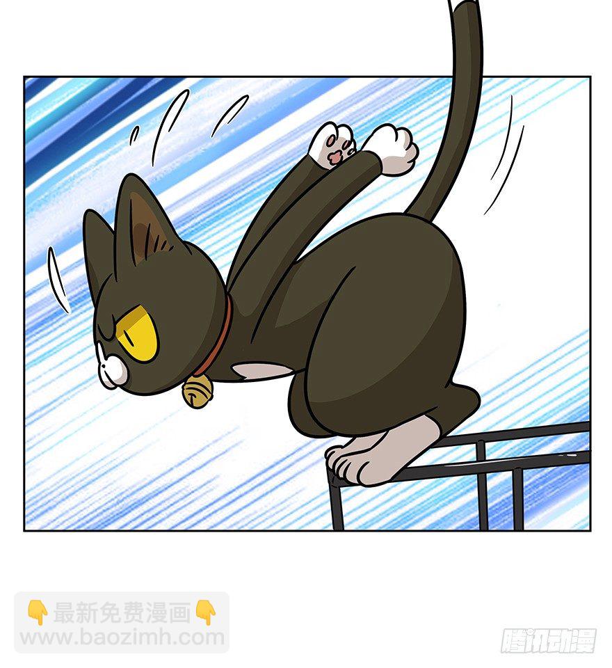 《回到过去变成猫外传》第87爪 讲义气的“冒牌货”（下 第9页