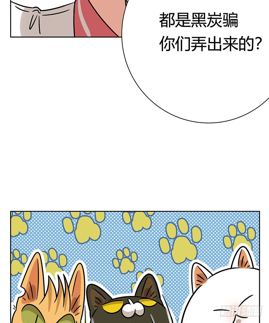 《回到过去变成猫外传》第89爪 祸水东引（下） 第10页