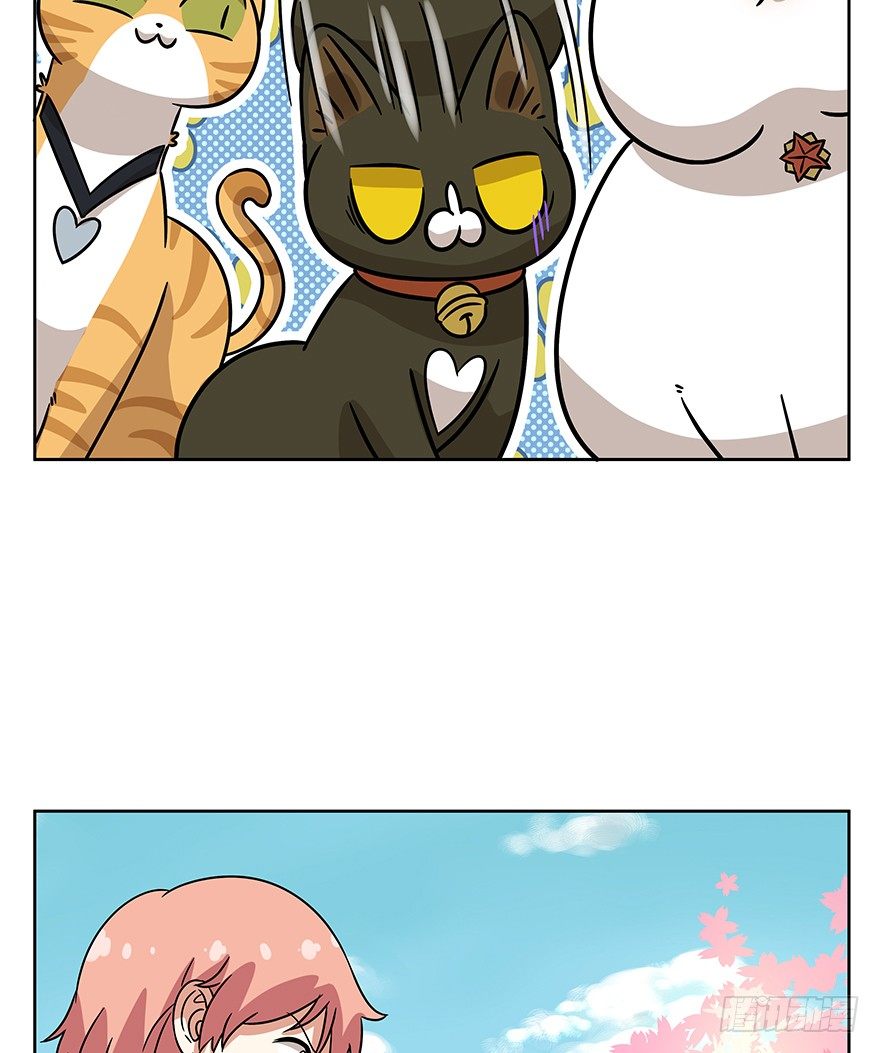 《回到过去变成猫外传》第89爪 祸水东引（下） 第11页